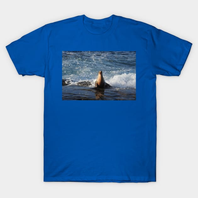 California Sea Lion, Marine Life, Wildlife, Nature T-Shirt by sandyo2ly